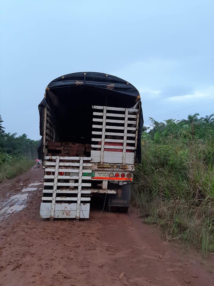 Ejército captura traficantes de madera ilegal en zona rural del Guaviare