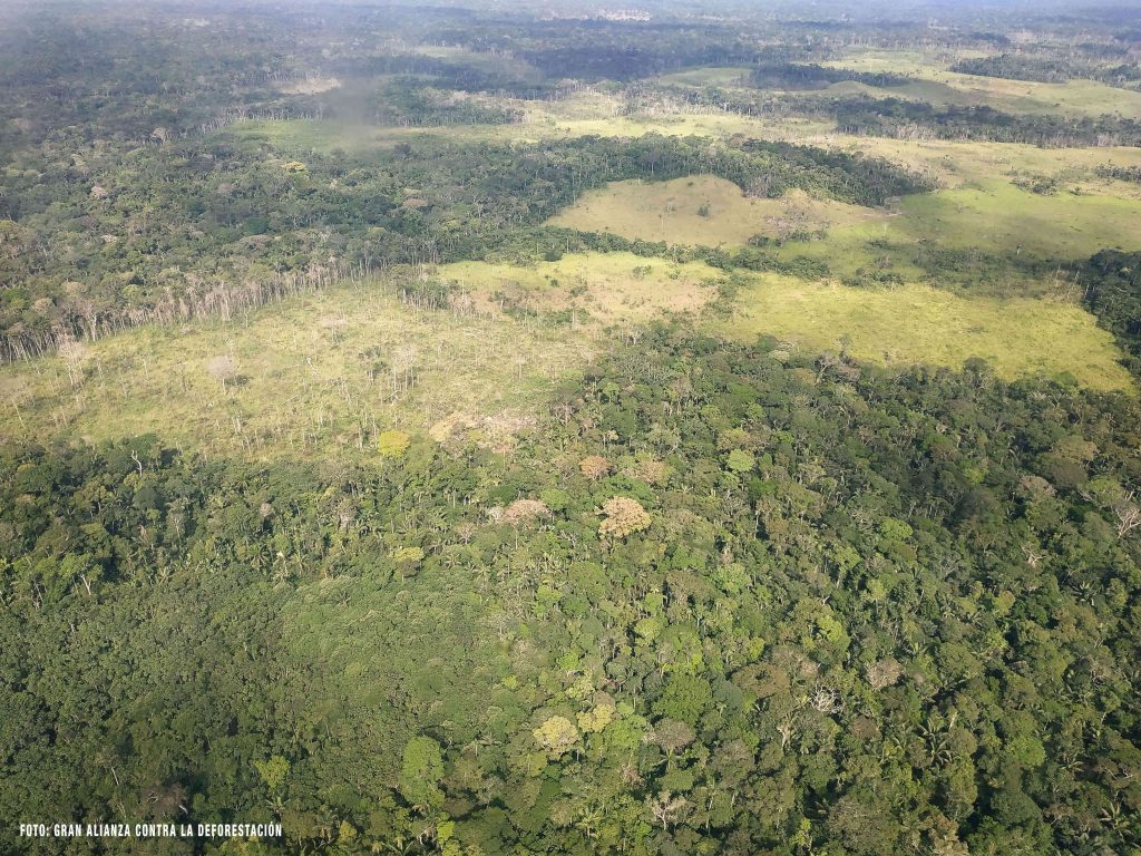 “La mayor problemática de las comunidades Nukak ha sido la deforestación”: OPIAC