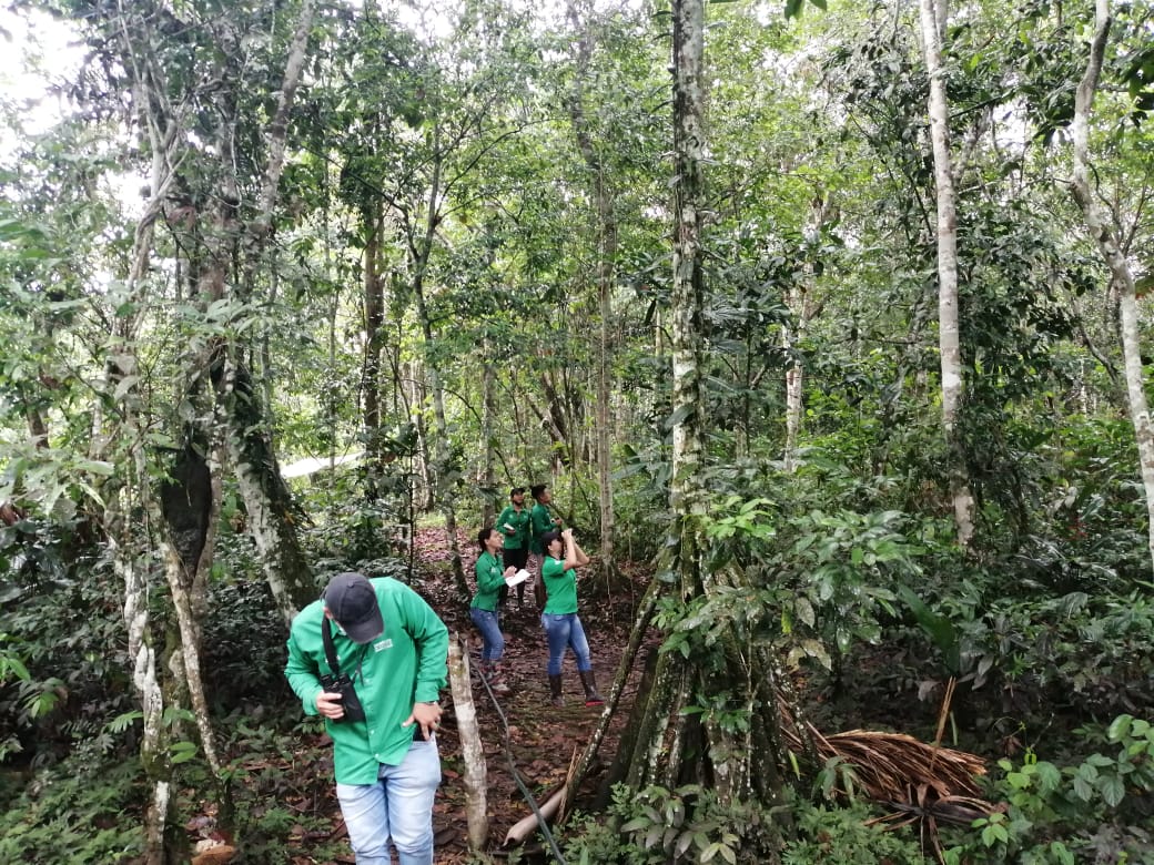 Guaviare ocupó el puesto 25 a nivel nacional en el October Big Day 2020