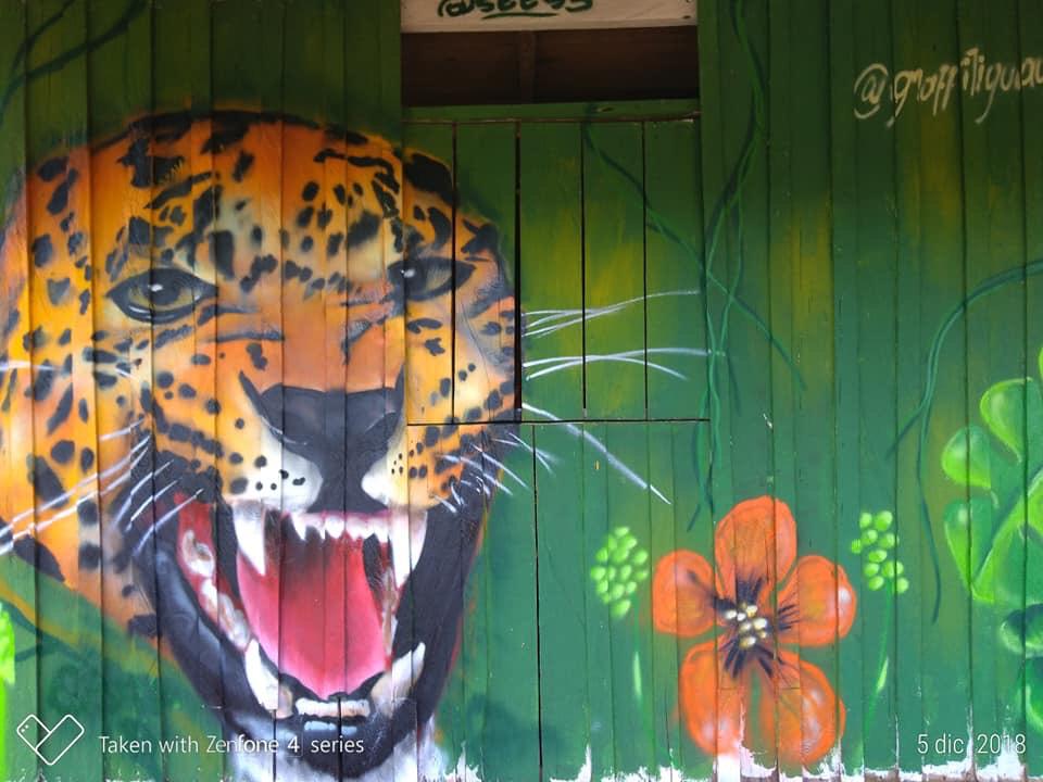 Con murales alusivos a nuestra biodiversidad embellecen a San José del Guaviare