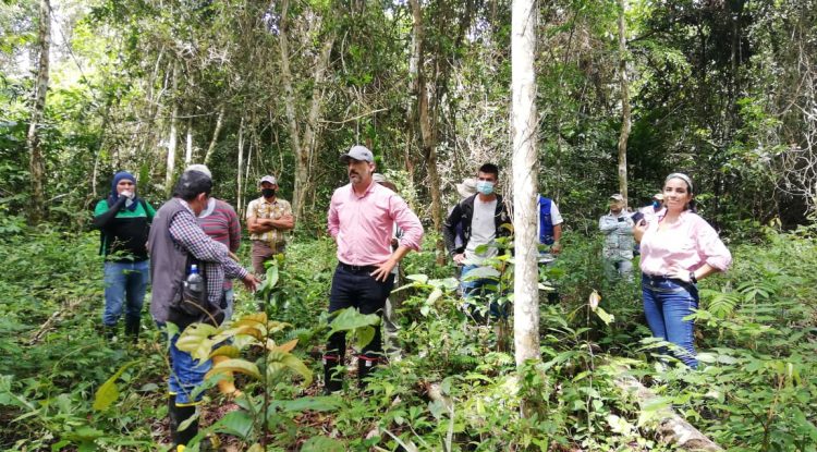 66 familias recibieron Incentivo Forestal Amazónico en lucha contra la deforestación