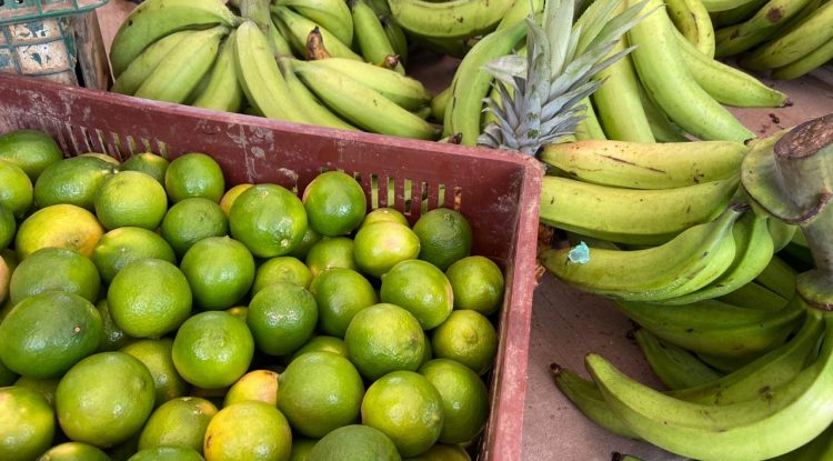 Con excelentes ventas se cumplió el mercado campesino en San José del Guaviare