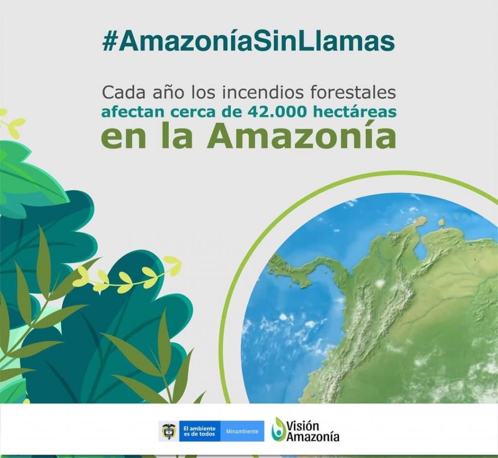 A 21 millones de personas ha llegado campaña #AmazoníaSinLlamas