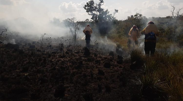 19 hectáreas consumidas por un incendio forestal en Serranía de La Lindosa