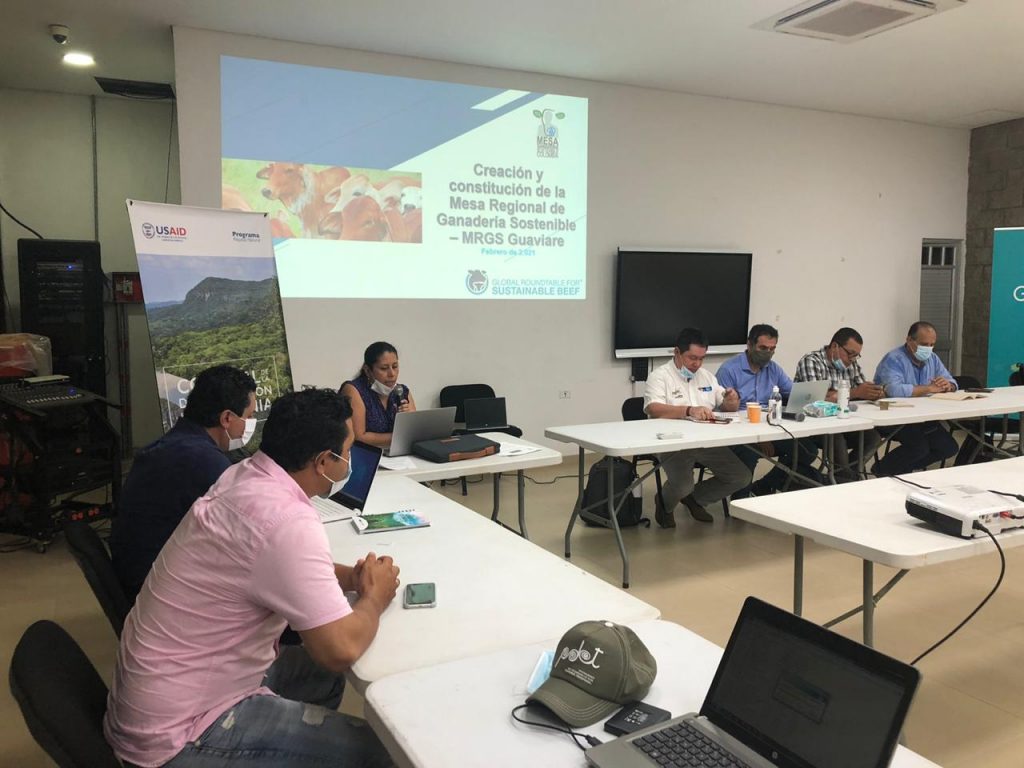 Conformada Mesa Regional de Ganadería Sostenible del Guaviare