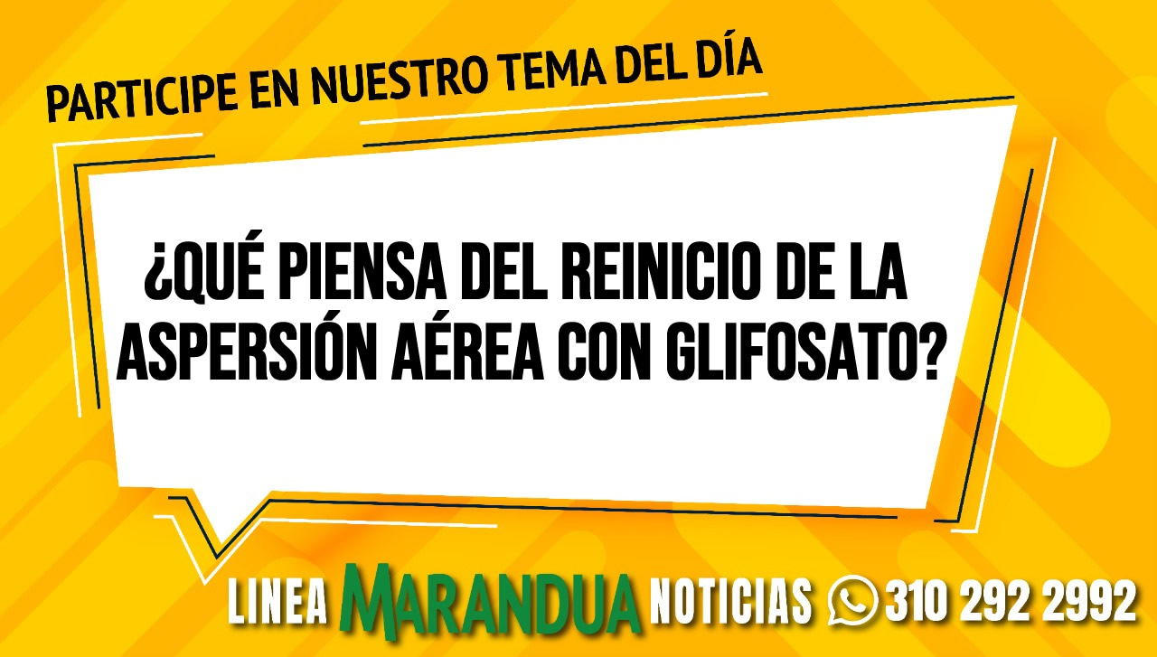 ¿Qué piensa del reinicio de la aspersión aérea con glifosato?