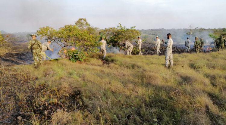 Incendio consumió 300 hectáreas en Serranía La Macarena, Meta