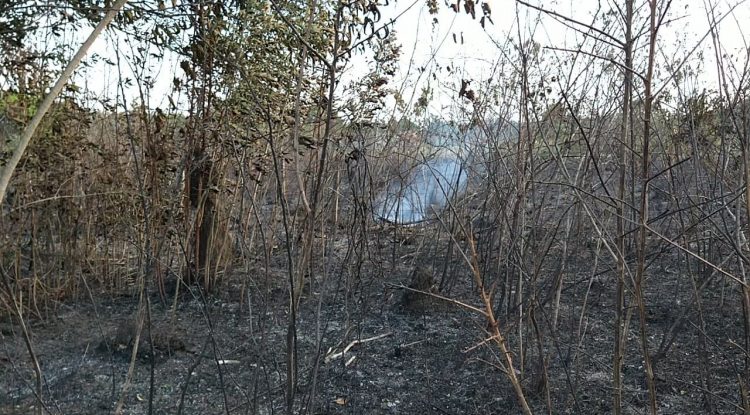 No paran los incendios forestales en San José del Guaviare
