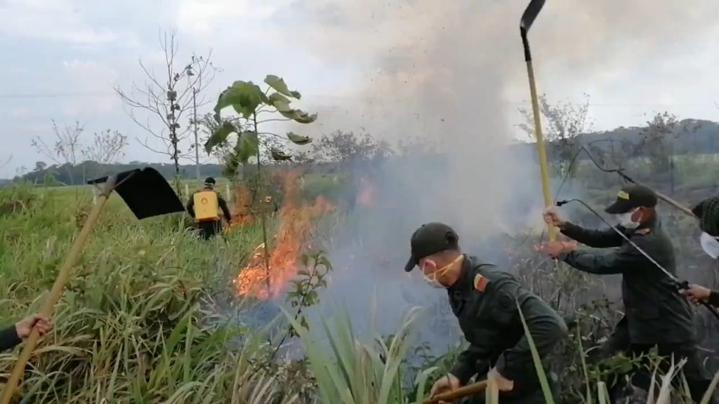 29 hectáreas de material vegetal consumidas por incendio en Calamar, Guaviare