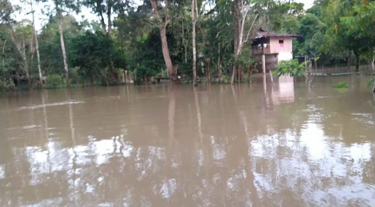 Primeras inundaciones en la vereda Buenavista II