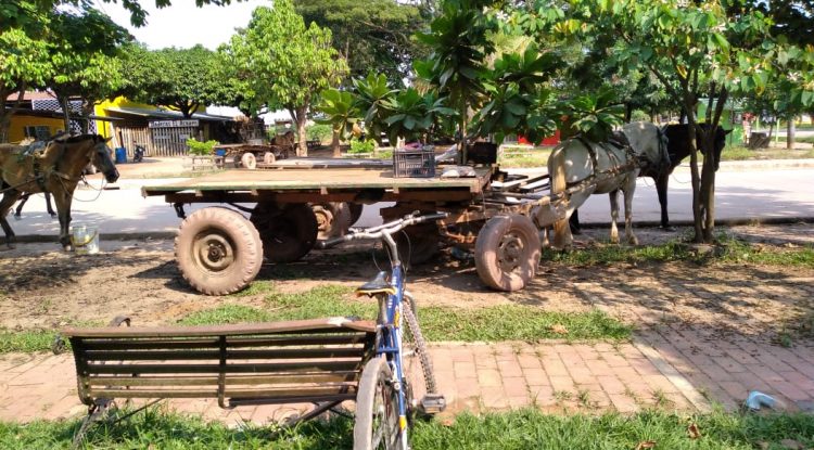 "Zorreros" realizarán plantón por demora en la entrega de motocargueros