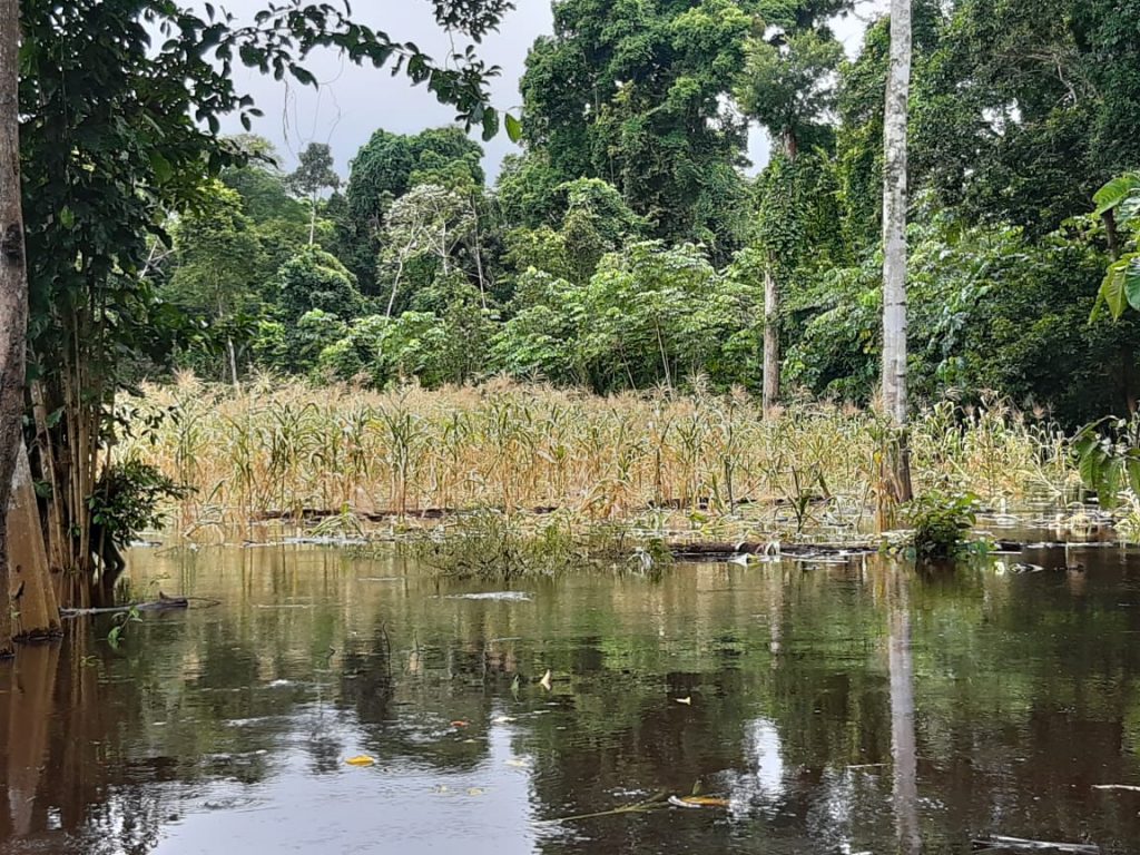 Familias y estudiantes afectados por la inundación en la vereda Los Cambulos