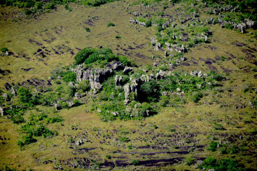 #MaranduaVerde Piden investigar presunto acaparamiento de tierras en zona protegida en Guaviare