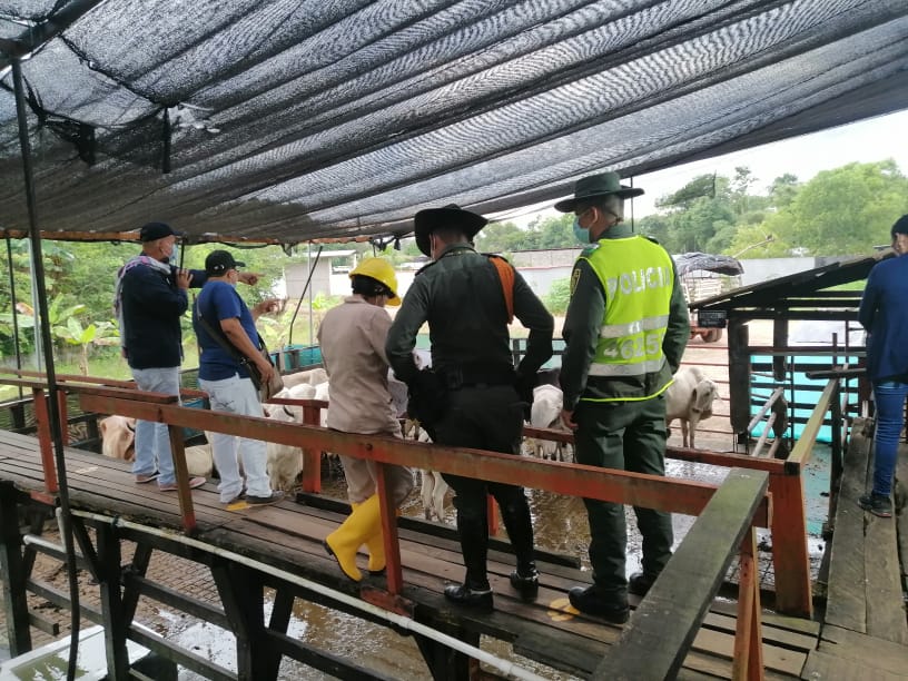 Inspección a la planta de sacrificio de San José del Guaviare. Foto: Policía Nacional.