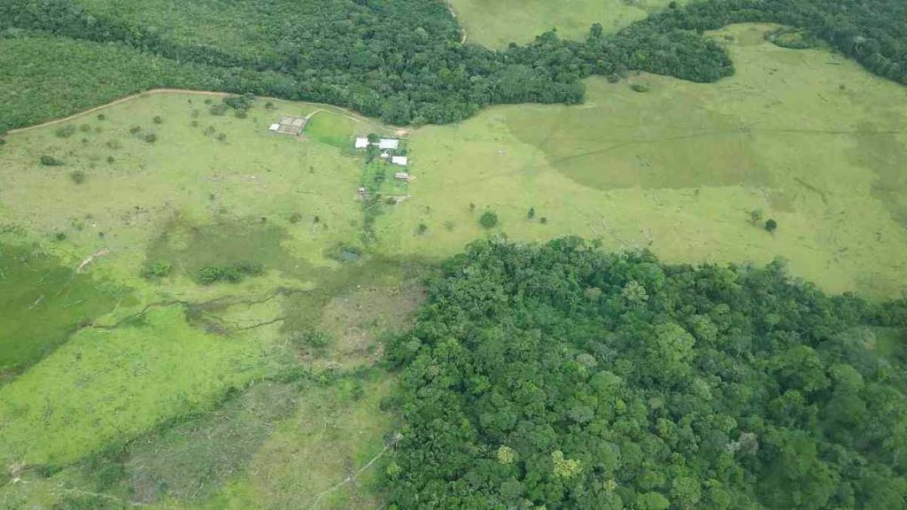 El acaparamiento de tierras es real en el Departamento del Guaviare