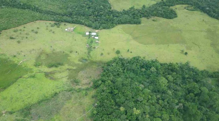 El acaparamiento de tierras es real en el Departamento del Guaviare