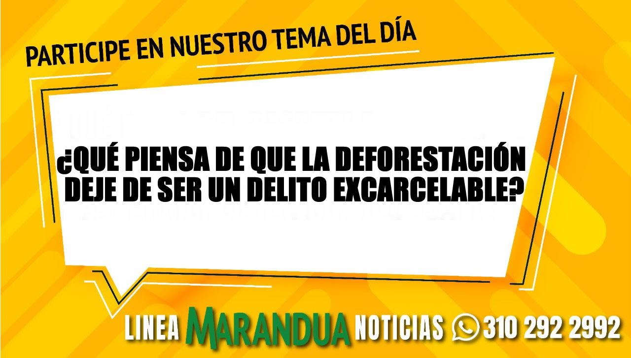 ¿Qué piensa de que la deforestación deje de ser un delito excarcelable?