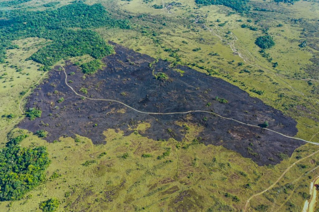 40 hectáreas afectadas por incendio en Serranía de La Lindosa