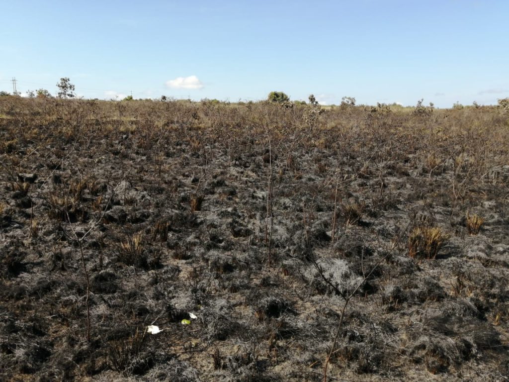 Policía Guaviare acompañó a la CDA a zona de incendio forestal en La Lindosa