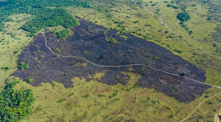 40 hectáreas afectadas por incendio en Serranía de La Lindosa