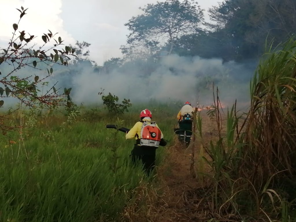 Bomberos atendieron incendio forestal en el sector de La María