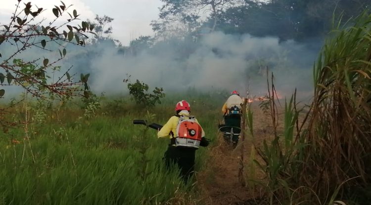 Bomberos atendieron incendio forestal en el sector de La María