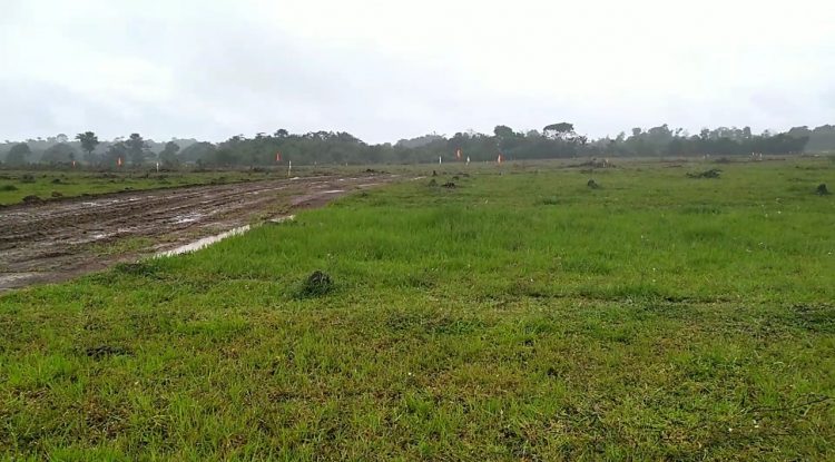 Lanzan plan de choque contra la venta de lotes ilegales en San José del Guaviare