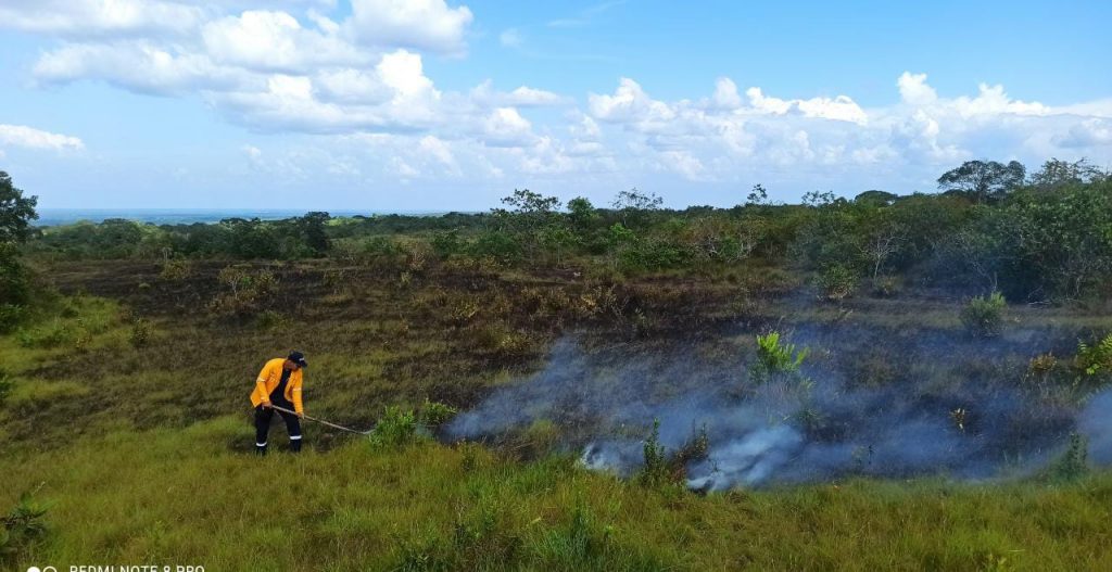 Incendio forestal en el alto de La Recebera fue provocado