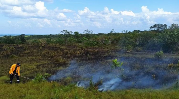 Incendio forestal en el alto de La Recebera fue provocado