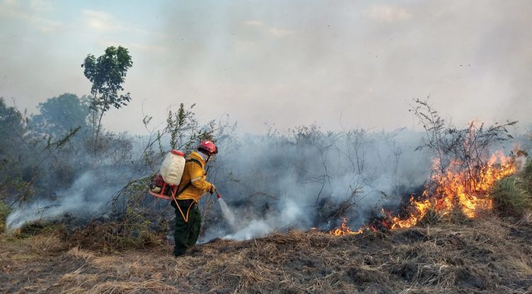 36 incendios forestales se han atendido en San José del Guaviare