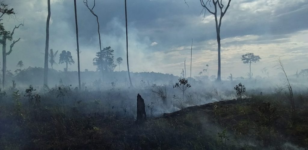 Cuatro incendios forestales se han registrado en Calamar, Guaviare