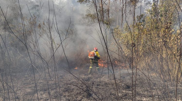 No paran los incendios forestales en San José del Guaviare