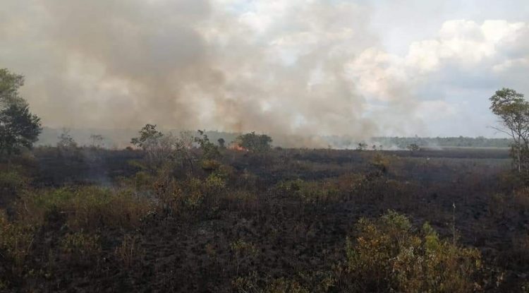 PMU de incendios forestales no posee información real sobre puntos de calor