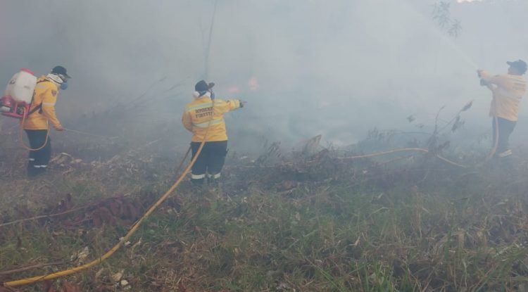 Bomberos reporta un incendio forestal en El Retorno, Guaviare