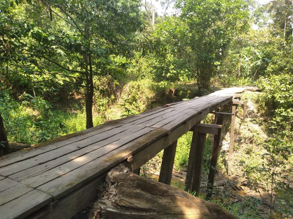 La vereda Buenavista piden reparación inmediata al puente sobre caño negro