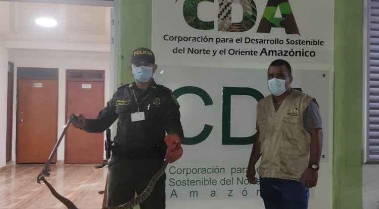 Rescatan serpiente en puesto de control de la Policía Nacional