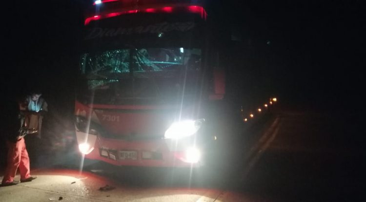 Bus de la empresa La Macarena colisionó contra una vaca