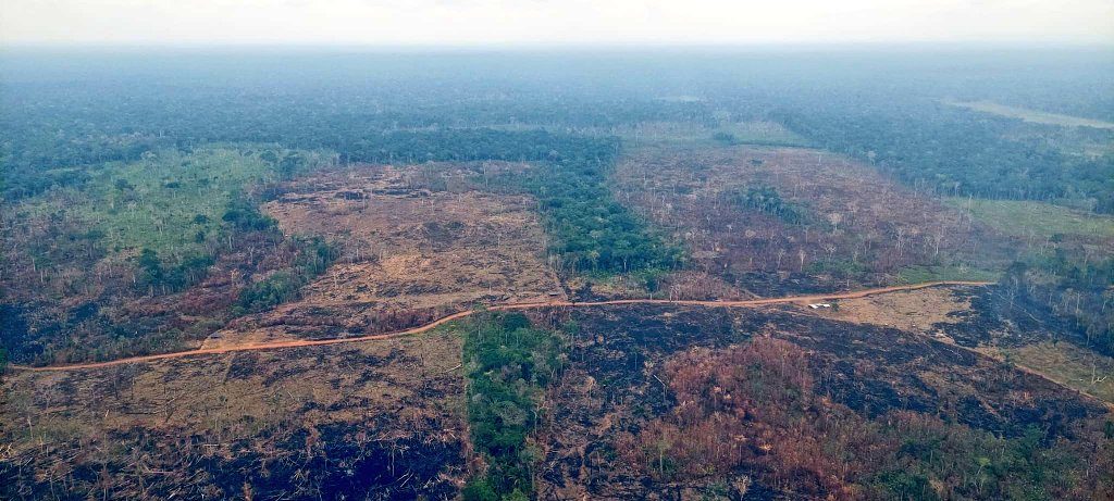 Contraloría denuncia “masacre ambiental” en la Amazonía