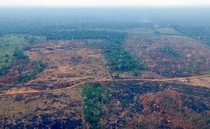 Contraloría denuncia “masacre ambiental” en la Amazonía