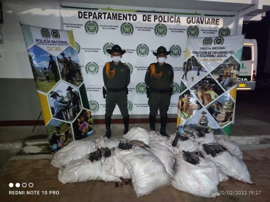 Policía incautó 600 kilos de pescado en Aeropuerto Jorge Enrique González Torres