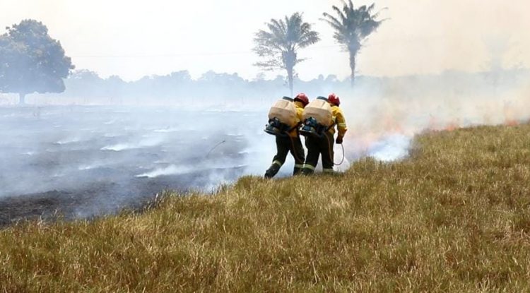 Bomberos atendieron incendio forestal en El Barrancón y el "Empuntillado"