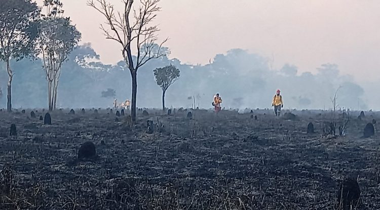 Alcaldía de Calamar declaró alerta roja por incendios forestales