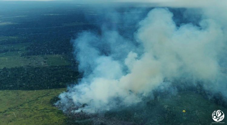 La intensidad y número de incendios han sido los más altos en los 10 últimos años