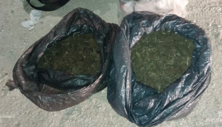 Incautan 500 kilos de marihuana en Puerto Concordia, Meta