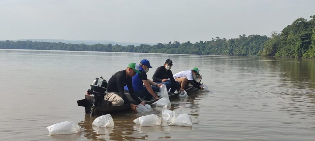 Laguna La María fue repoblada con 22 mil alevinos de bocachico