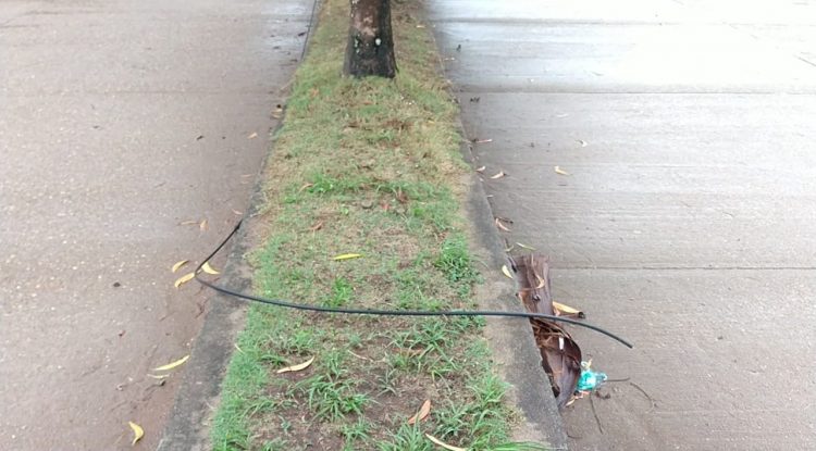 Cable lleva meses abandonado en la transversal 23 con calle 10 y 12