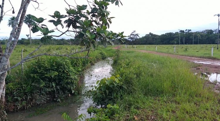 Marandua Noticias en las veredas de San José del Guaviare