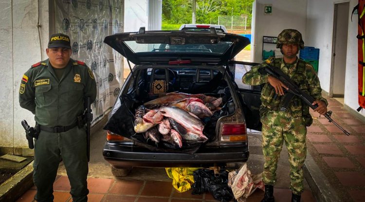 Incautan 1.126 kilogramos de pescado en Puerto Concordia, Meta