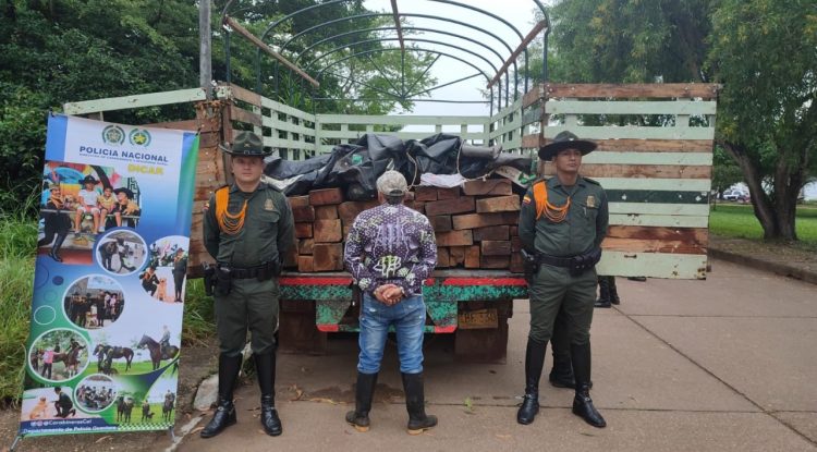 Captura a persona que cuidaba madera ilegal en San José del Guaviare