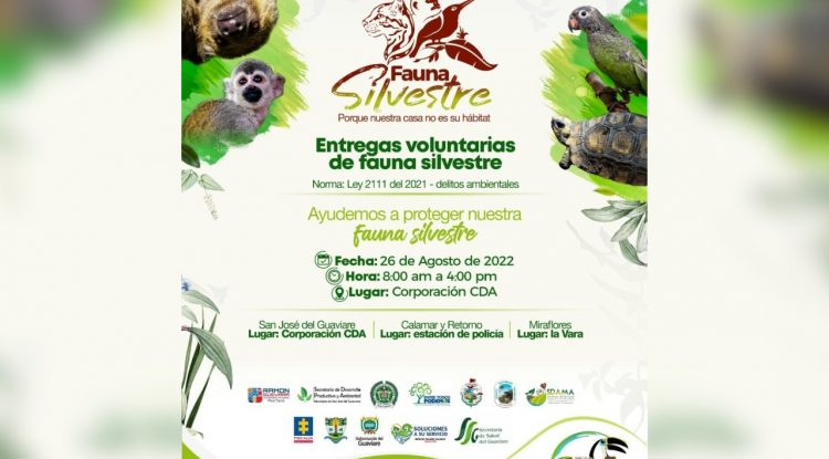 ¿Tiene de mascota un animal silvestre? ¡Únete a la entrega voluntaria!